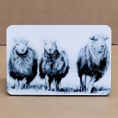 Jo McGrath Fridge Magnet HERE COME THE GIRLS